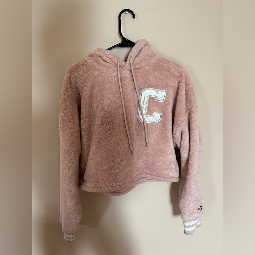 Champion Cropped Hoodie, Size Medium (juniors)